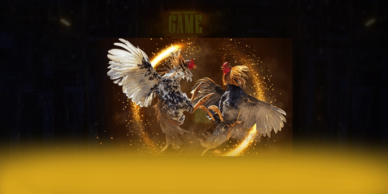 SA88 – Cổng trò chơi phổ biến nhất, được cộng đồng đánh giá tích cực.