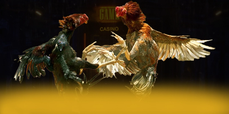 LC88 - Nhà cái chất lượng được cộng đồng đánh giá cao