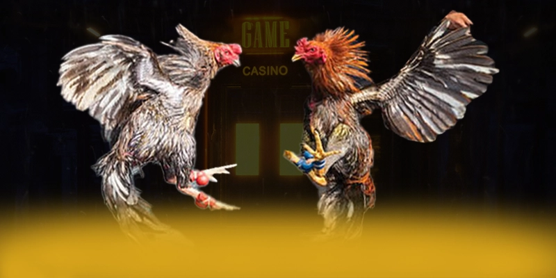 DAGA88 - Lời khẳng định với đầy đủ ưu điểm nổi bật.