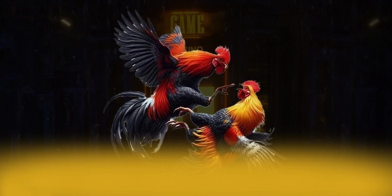 GEM88 - Cổng game được yêu thích được quan tâm nhất – Trải nghiệm ưu đãi hấp dẫn cùng GEM88