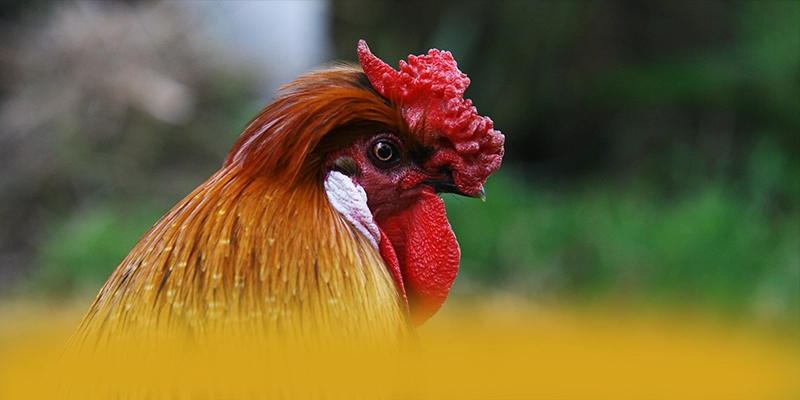 WIN79 - Cổng game cung cấp hàng trăm tựa game đẳng cấp trên thị trường – Điểm qua WIN79