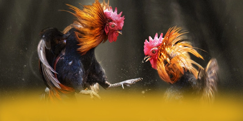 DAGA88 - Sảnh game đáng tin cậy hiện nay – Khám phá sự an toàn và minh bạch tại DAGA88