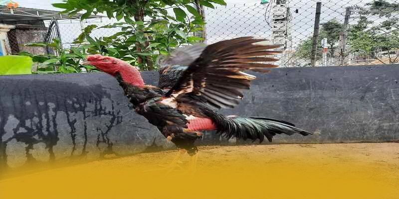 GO8 - Sân chơi uy tín được yêu thích hàng đầu – Khám phá hệ thống bảo mật tại GO8