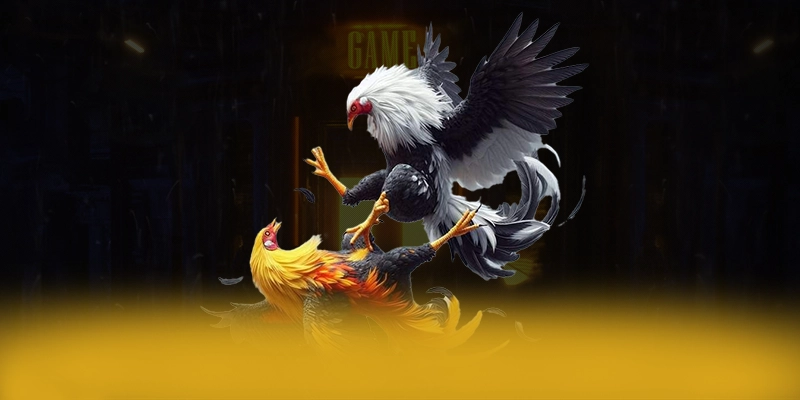 tỷ lệ kèo bóng đá - Cổng trò chơi được game thủ yêu thích trong cộng đồng game thủ – Khám phá ngay các trò chơi tại tỷ lệ kèo bóng đá