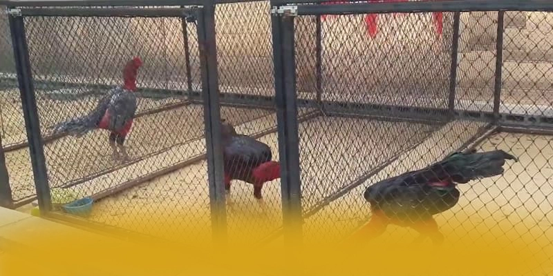 WIN79 - Cổng game bài được yêu thích trên thị trường