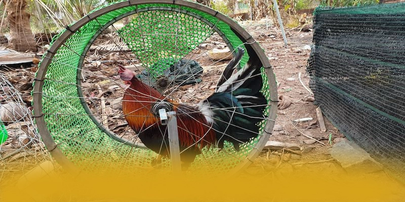 789WIN - Thương hiệu được cấp phép được đánh giá cao – Khám phá cam kết an toàn của 789WIN