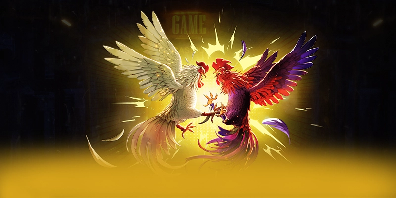 
Khám phá ngay GO8 - Cổng game uy tín số 1 mới nhất hiện nay
