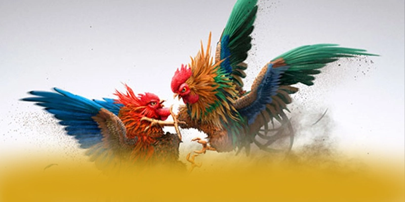 BL555 – Trang game uy tín, được cộng đồng đánh giá tích cực.